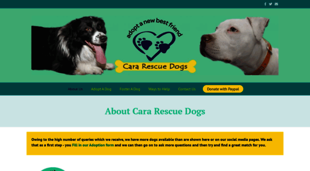 cararescuedogs.com