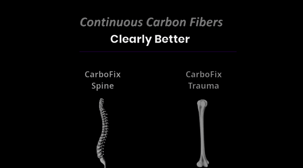 carbo-fix.com