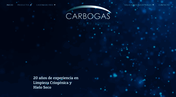 carbogasdemexico.com