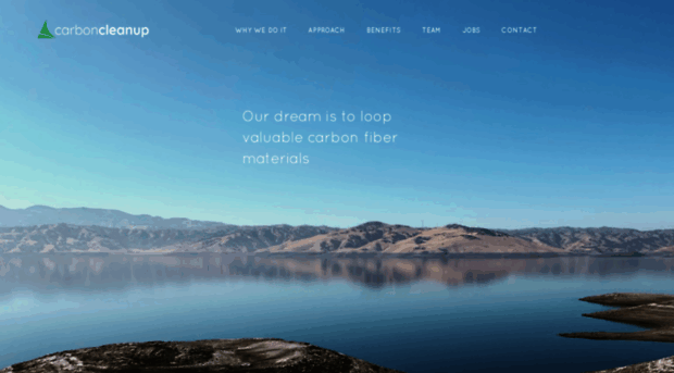 carbon-cleanup.com