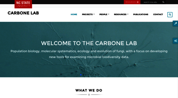 carbonelab.org