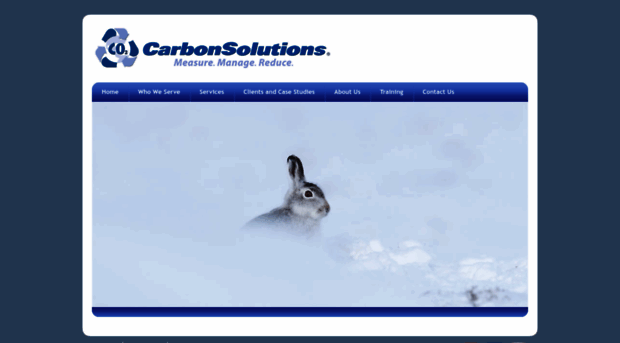 carbonsolutions.com