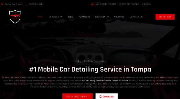 cardetailingtampafl.com