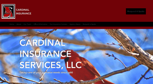 cardinalinsuranceservices.com