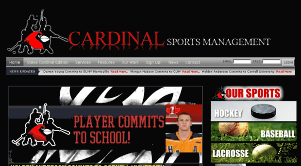 cardinalsportsgroup.com