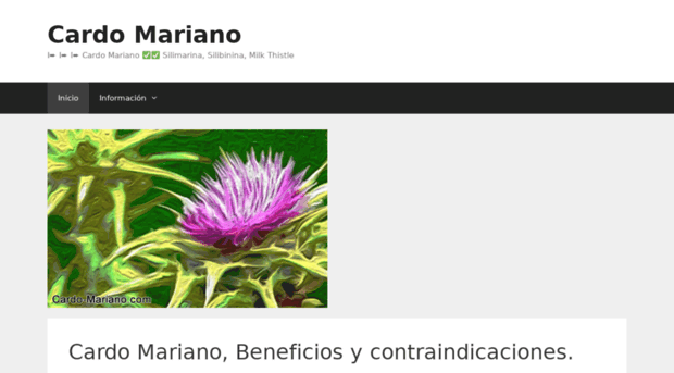 cardo-mariano.com