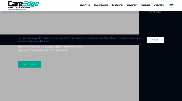 careedgeadvisory.com