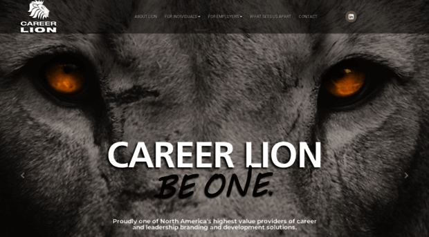 career-lion.com