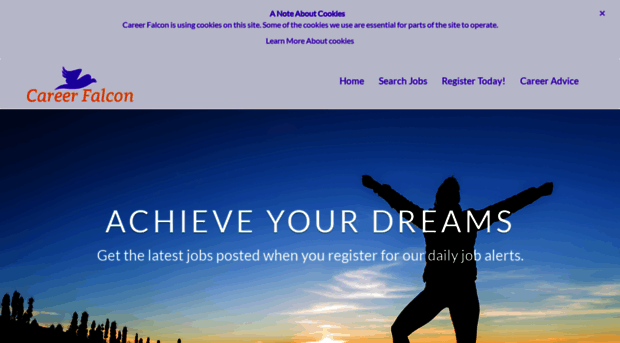 careerfalcon.com