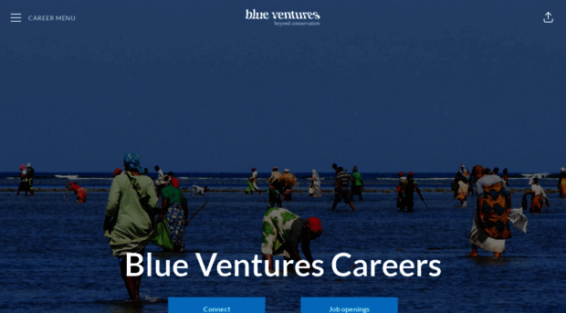 careers.blueventures.org