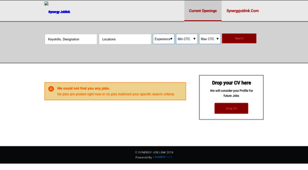 careers.synergyjoblink.com