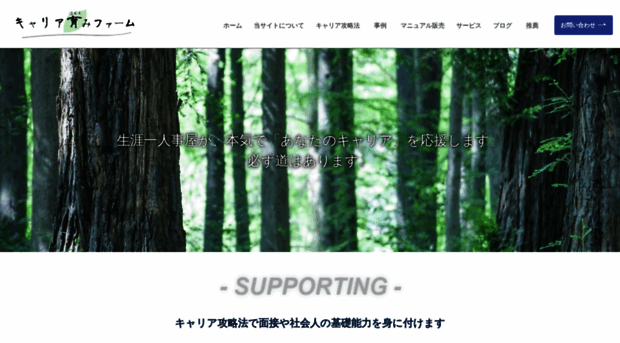 careersupportfirm.com
