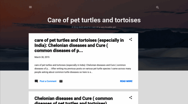 careforturtles.blogspot.com