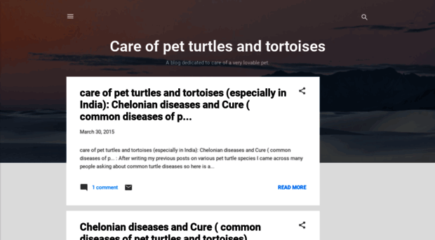 careforturtles.blogspot.in