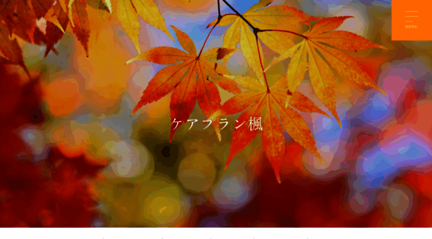 careplankaede.com