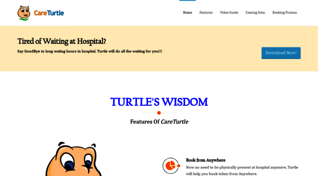 careturtle.com