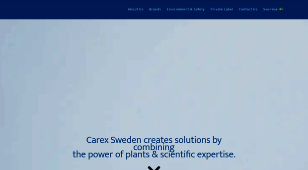 carexsweden.com