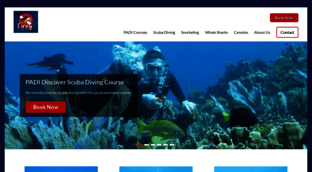 careydivecenter.com