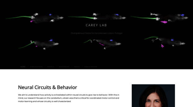 careylab.org