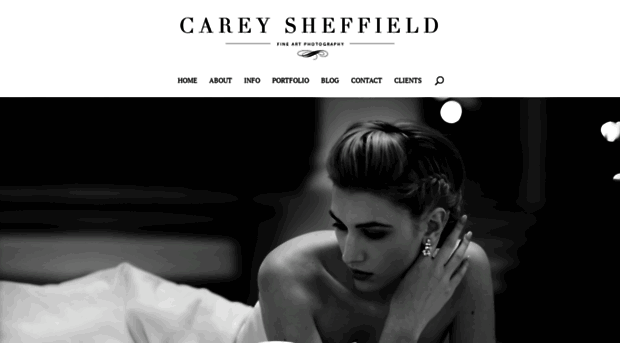 careysheffield.com