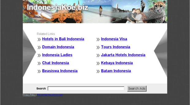 cargo.indonesiakoe.biz