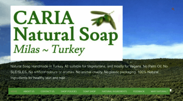 cariahandmadesoap.blogspot.com