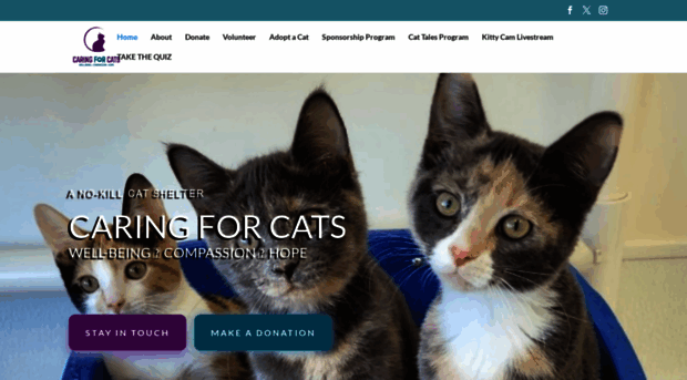 caring-for-cats.org