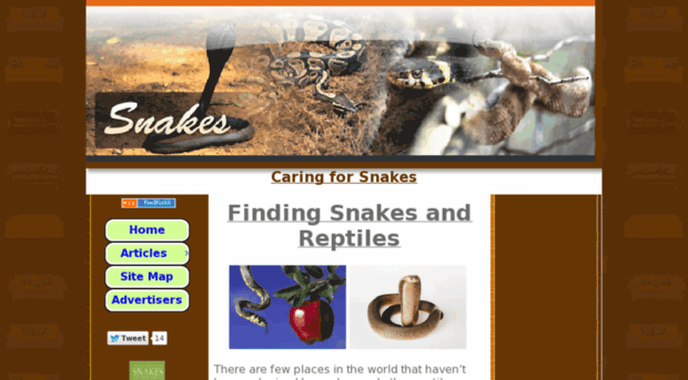 caring-for-snakes.the-real-way.com