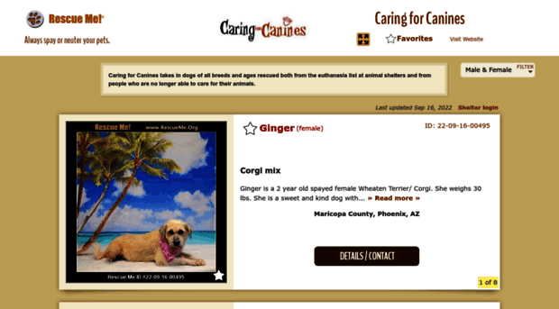 caringforcanines.rescueme.org