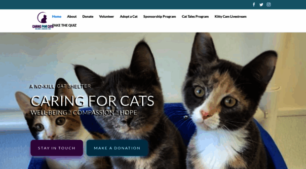 caringforcatsmn.org