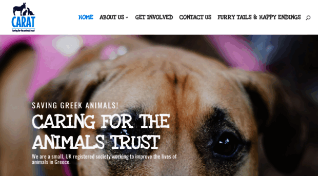 caringfortheanimalstrust.co.uk