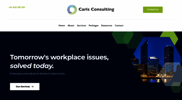 carisconsulting.com.au