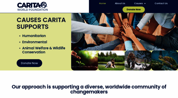 caritafoundation.world