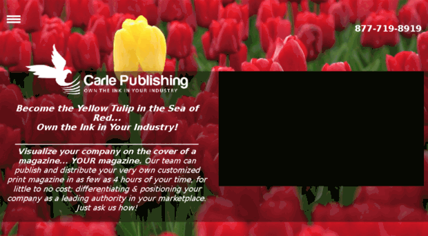 carlepublishing.com