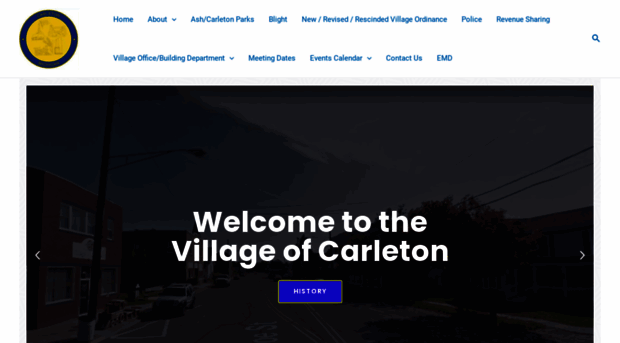 carletonmi.us