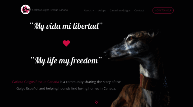 carlotagalgosrescuecanada.com