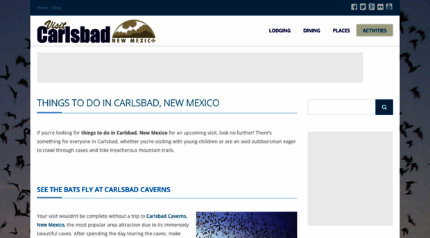 carlsbadnewmexico.com