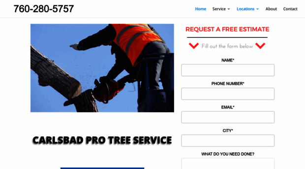 carlsbadprotreeservice.com