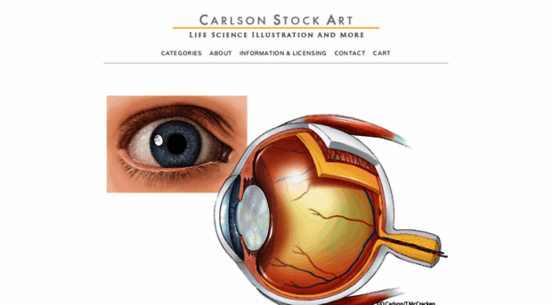 carlsonstockart.com