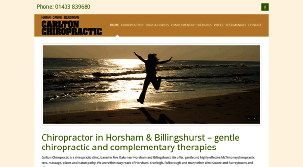 carltonchiropractic.co.uk