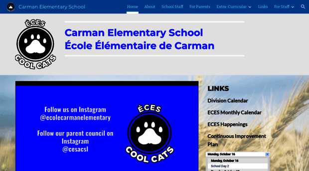 carmanelementary.ca