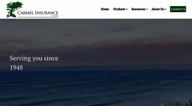 carmelinsurance.com