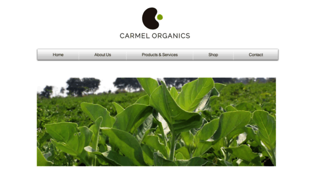 carmelorganics.in