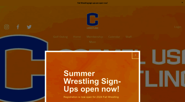 carmelusawrestling.org