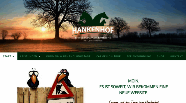 carmen-hanken.de