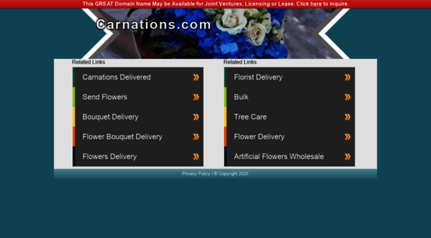 carnations.com