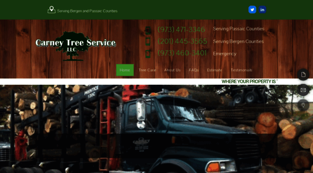 carneytreeservices.com