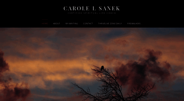 carolesanek.com