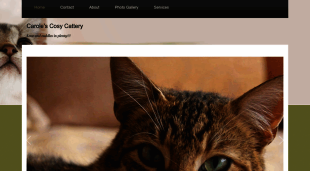 carolescosycattery.co.uk