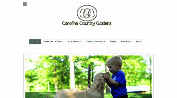 carolinacountrygoldens.com